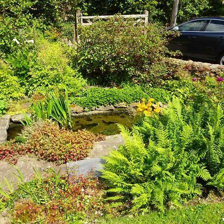 Tabor House B&B Fishguard Buitenkant foto