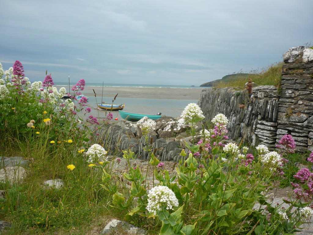 Tabor House B&B Fishguard Buitenkant foto