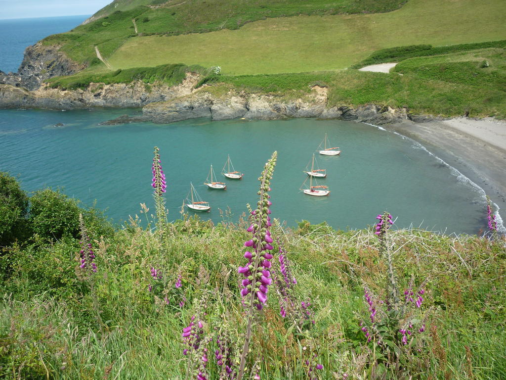 Tabor House B&B Fishguard Buitenkant foto
