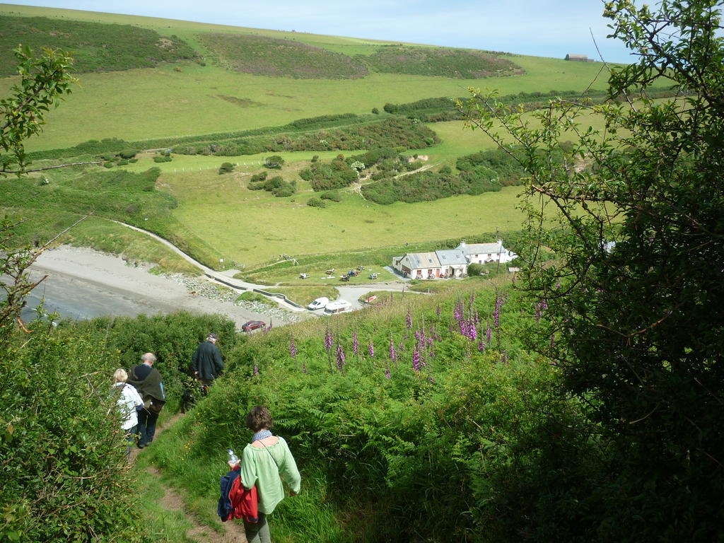 Tabor House B&B Fishguard Buitenkant foto