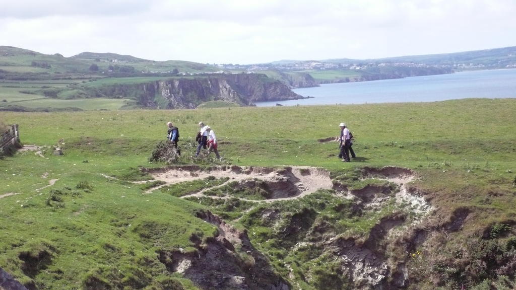 Tabor House B&B Fishguard Buitenkant foto
