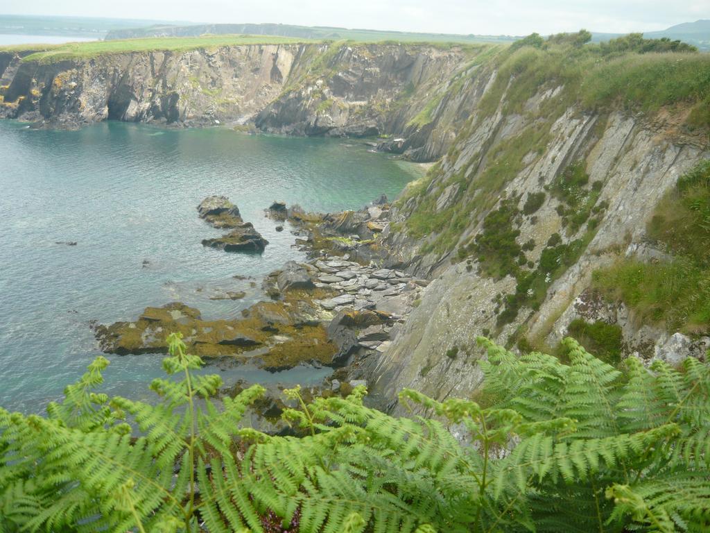 Tabor House B&B Fishguard Buitenkant foto