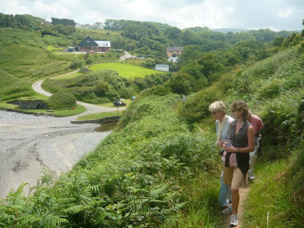 Tabor House B&B Fishguard Buitenkant foto