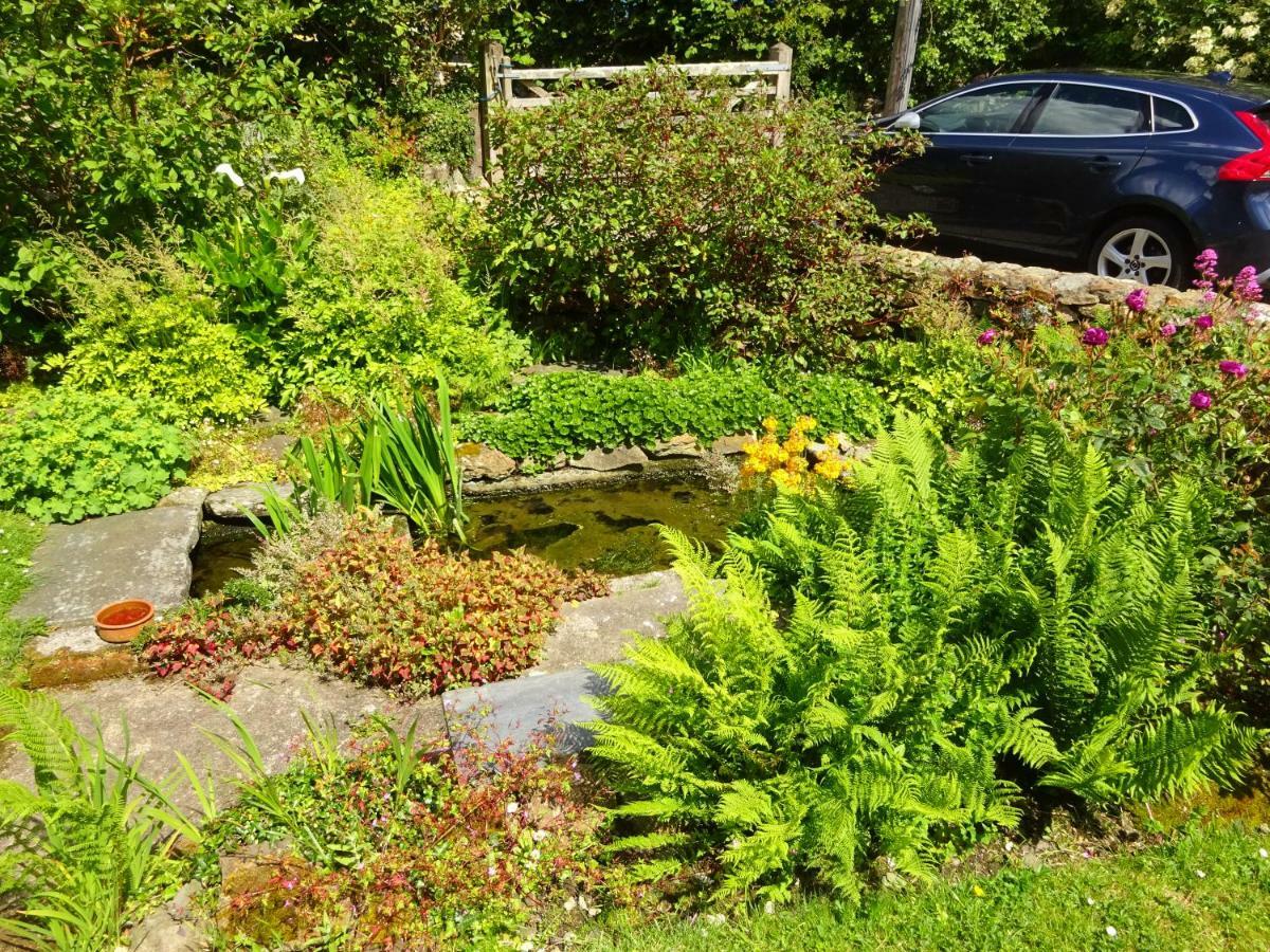 Tabor House B&B Fishguard Buitenkant foto